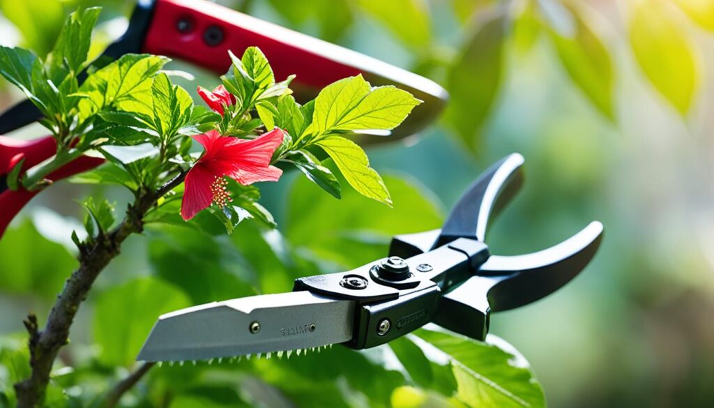 hibiscus bonsai care