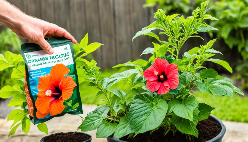 hibiscus fertilization