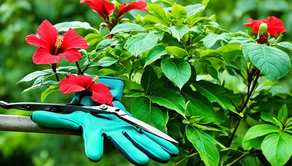 pruning braided hibiscus